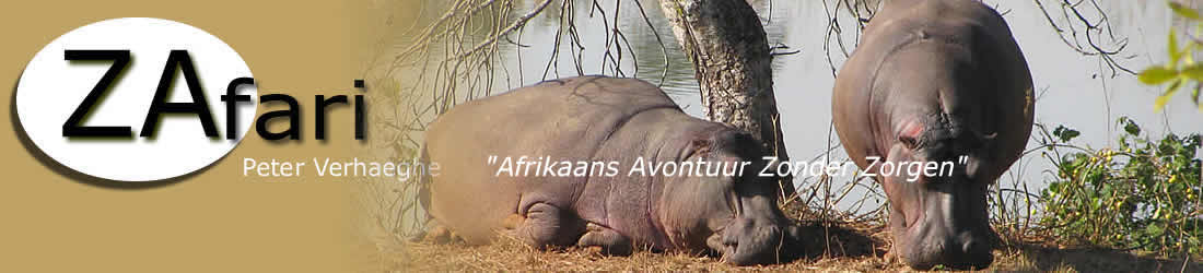 Visit the renowned Kruger National Park