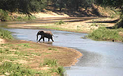 Visitez Swazi Cultural Village