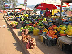 Venda - Venda volk -