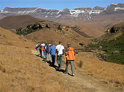 South African Tours with Zafari Tours - Day Trips - Drakensbergen