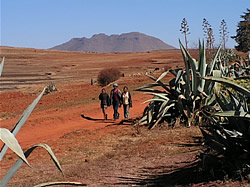 South African Tours with Zafari Tours - Day Trips - Lesotho, Malealea