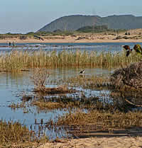 Zuid Afrika rondreis, Zuid Afrika wildparken, Zuid-Afrikaanse parken, Kruger Nationaal Park, Afrikaanse mensen - St Lucia