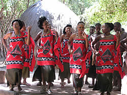 South African Tours with Zafari Tours - Day Trips - Swaziland, Mlilwane
