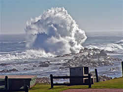 Reis Zuid Afrika met Zafari Tours - Tsitsikamma National Park